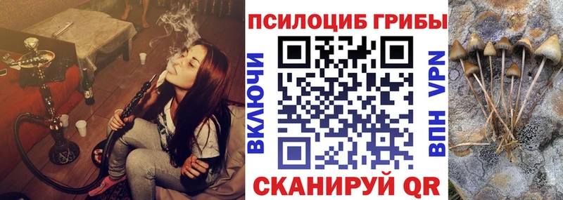 Галлюциногенные грибы MAGIC MUSHROOMS  магазин продажи   дарк нет какой сайт  Харабали 